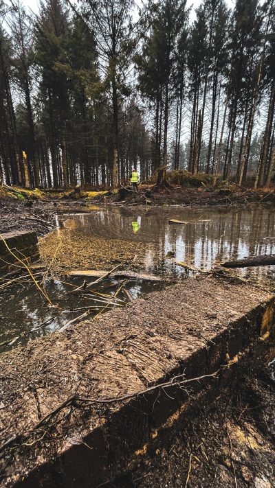 woodland plastic cleanup